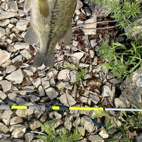 lost creek reservoir fishing report.